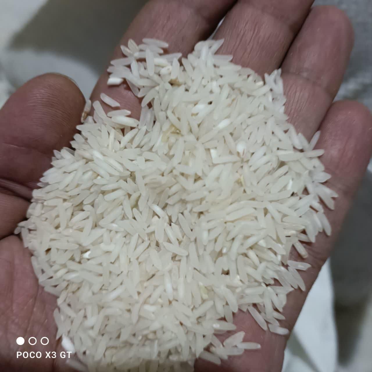 برنج طارم فجر گرگان تمام دانه|خوردنی و آشامیدنی|قم, بنیاد|دیوار