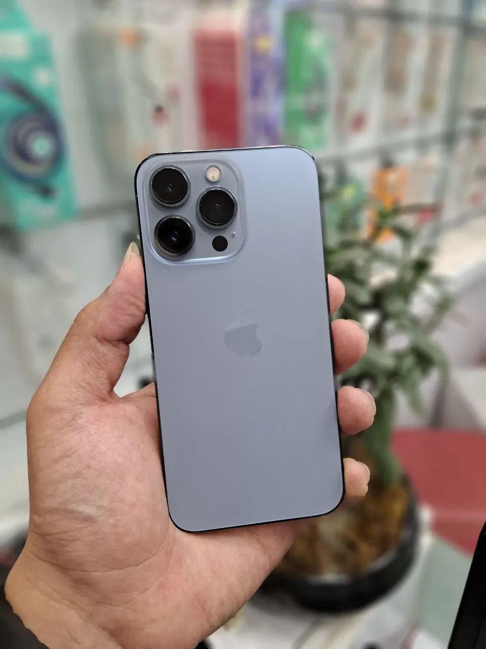 اپل iPhone 13 Pro Max با حافظهٔ ۱۲۸ گیگابایت|موبایل|مشهد, بهمن|دیوار