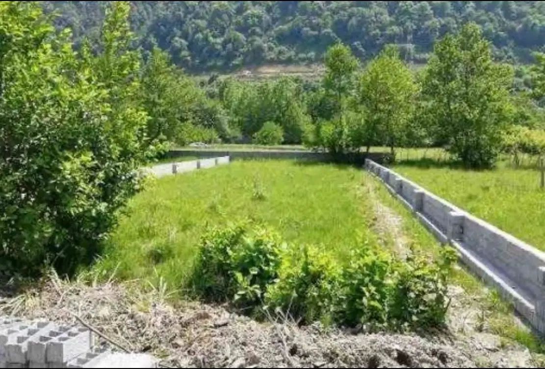 ۳۰۰ متر زمین ویلایی، ۲ دقیقه تا دریا، شهسوار|فروش زمین و ملک کلنگی|نشتارود, |دیوار