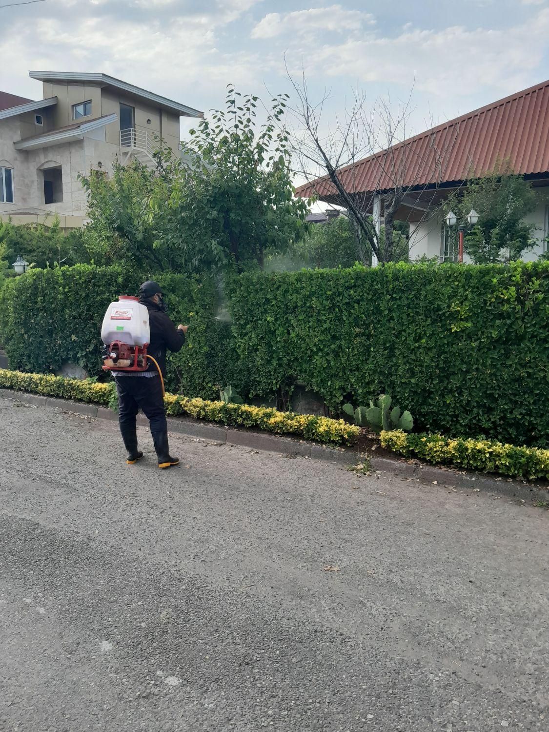 هرس و علف زنی وکلیه خدمات باغبانی|خدمات باغبانی و درختکاری|بندر انزلی, دهکده ساحلی|دیوار