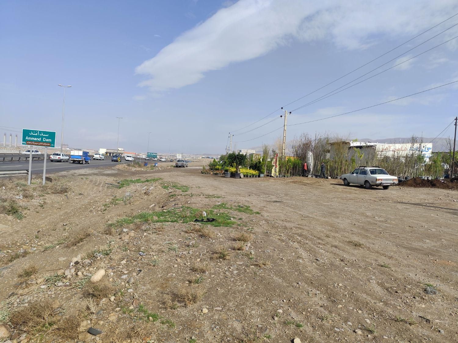 گل‌های هفت رنگ مقاوم، زیبا و ماندگار|گل و گیاه طبیعی|صوفیان, |دیوار