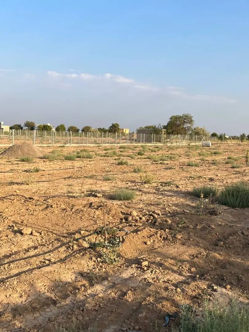 فروش ملک سند دار در شهر تاکستان|فروش دفتر صنعتی، کشاورزی، تجاری|کرج, جهان‌شهر|دیوار