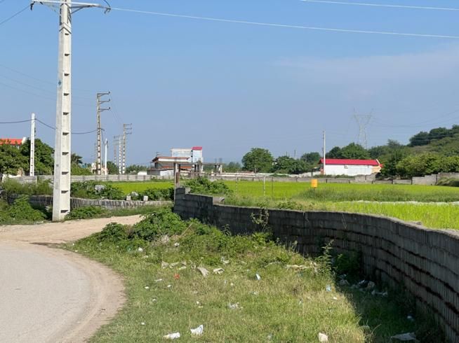 فروش زمین جنگلی اقساطی سر آسفالت|فروش زمین و ملک کلنگی|آمل, |دیوار