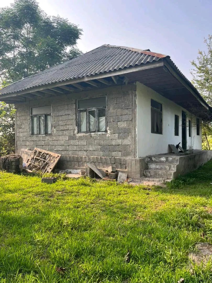 خانه محوطه باشالیزار5000متردریک لوکیشن روستایی بکر|فروش زمین و ملک کلنگی|رشت, سعدی (تختی)|دیوار