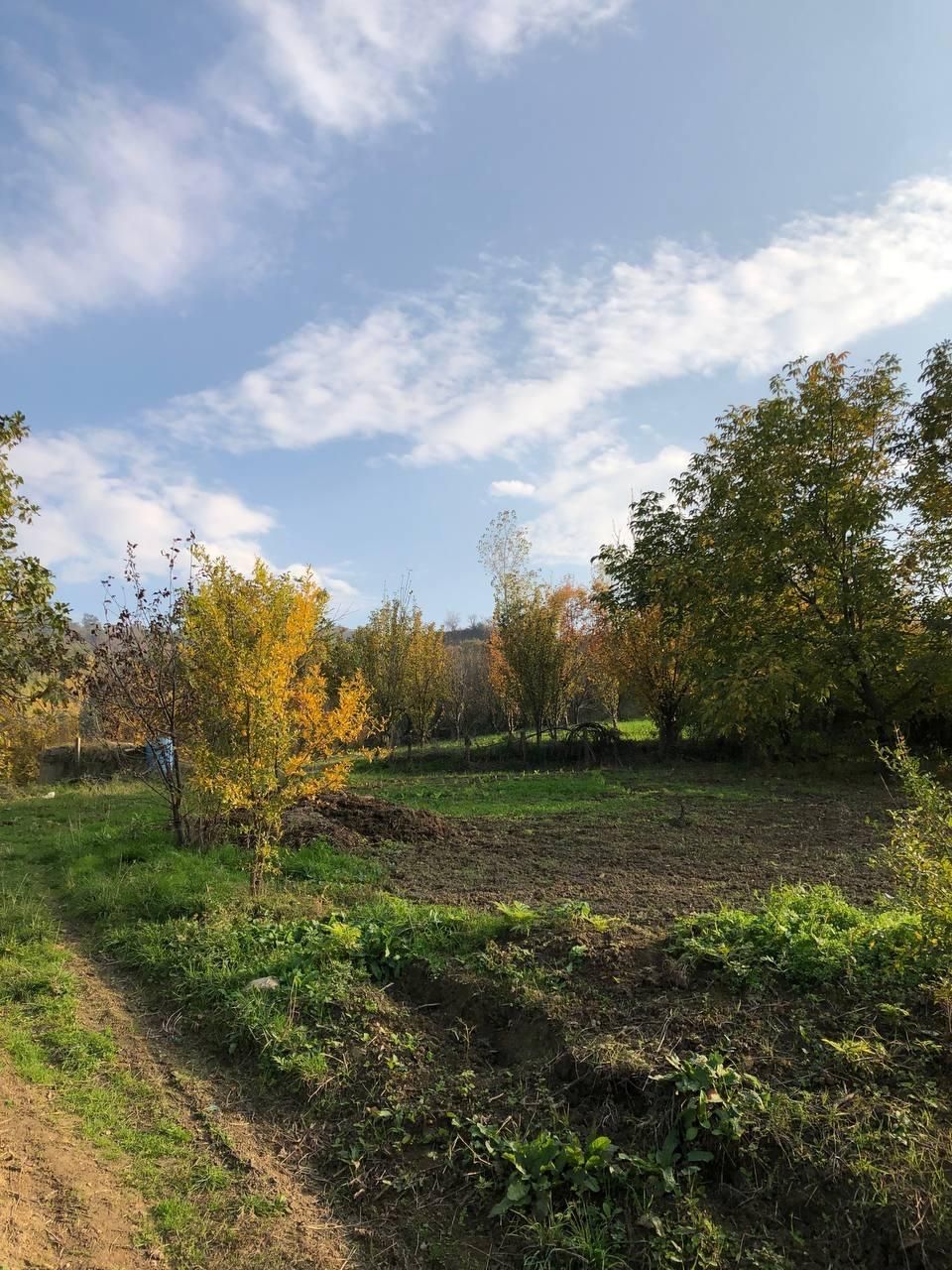 زمین بافت مسکونی با چشم انداز فوق العاده|فروش زمین و ملک کلنگی|گلوگاه, |دیوار