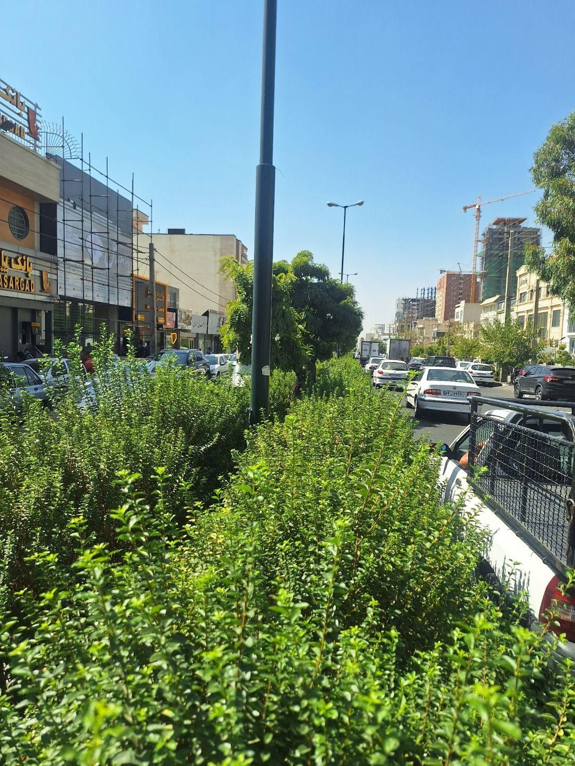 ۲۱۰ متر کلنگی جنوبی دریاچه چیتگر شهرک راه آهن|فروش خانه و ویلا|تهران, شهرک راه‌آهن|دیوار