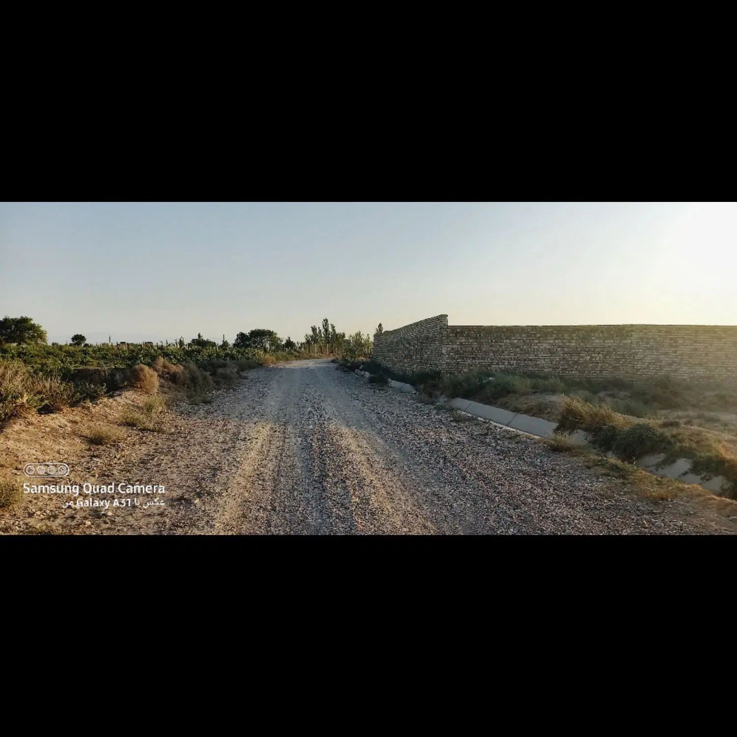 فروش زمین باغ انگور سند تک برگ معاوضه با موتور|فروش زمین و ملک کلنگی|کرج, اصفهانی‌ها|دیوار