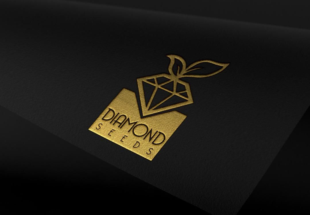 طراحی لوگو کارت ویزیت تراکت سربرگ پوستر|خدمات رایانه‌ای و موبایل|تهران, فاطمی|دیوار