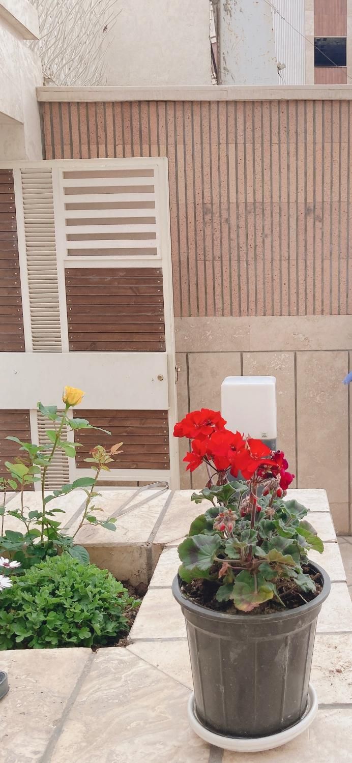 آپارتمان مسکونی منحصر به فرد رباط اول|فروش آپارتمان|اصفهان, دستگرده|دیوار