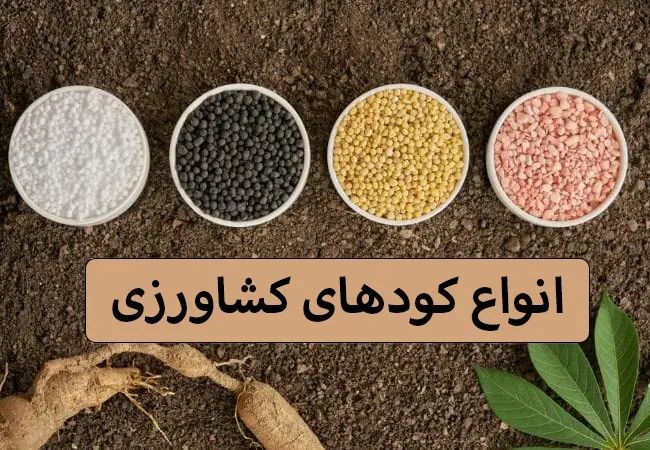 باغبان باغبانی و باغداری اصولی و اقتصادی|خدمات باغبانی و درختکاری|قم, آزادگان|دیوار
