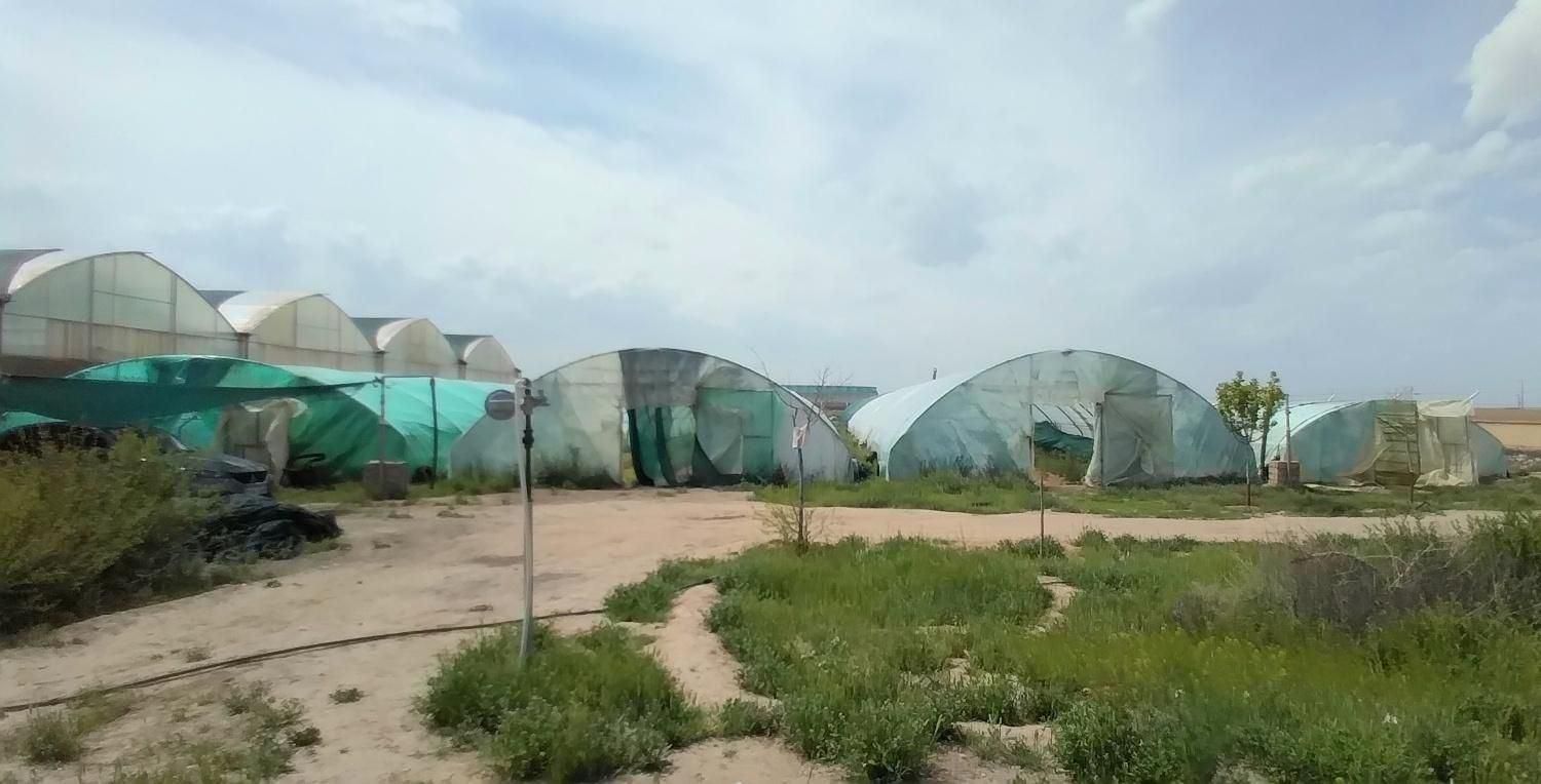 گلخانه در مشهد فروش/معاوضه آپارتمان|فروش دفتر صنعتی، کشاورزی، تجاری|مشهد, كنويست|دیوار