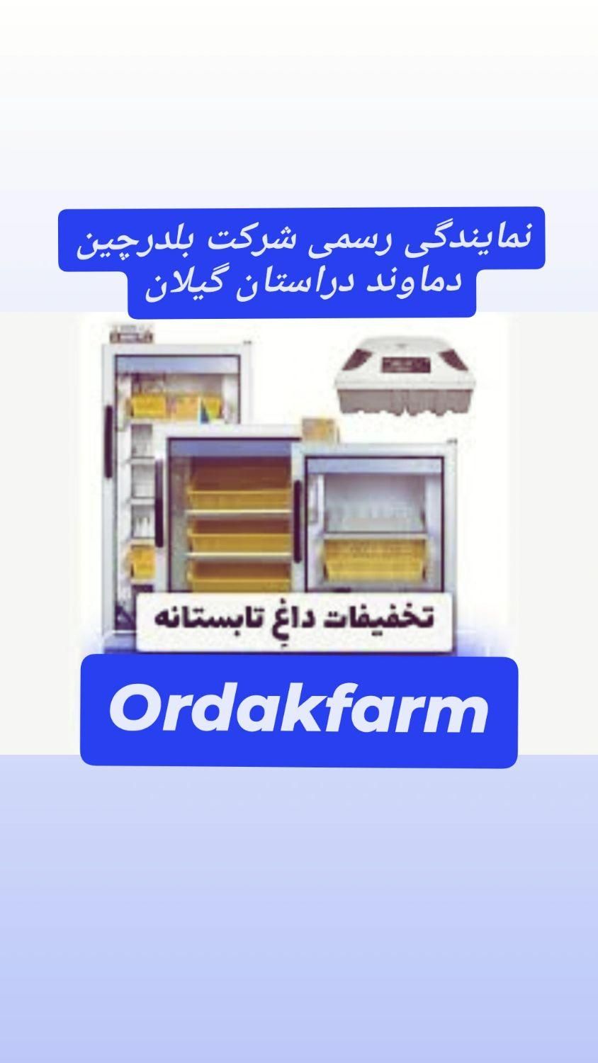 نماینده فروش دستگاه جوجه کشی  رشت تخفیف تابستانه|لوازم جانبی حیوانات|سنگر, |دیوار