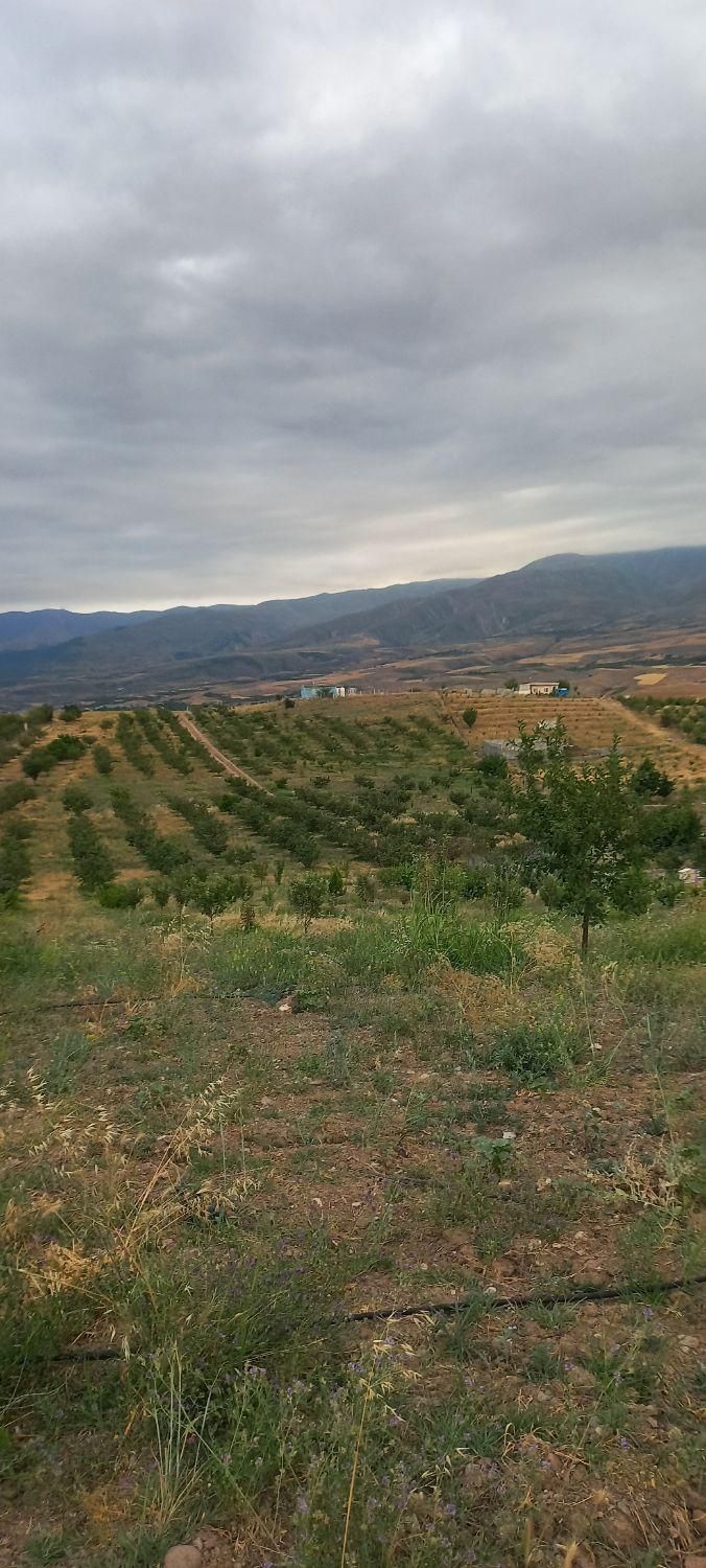 فروش ۵۰۰ متری باغ درجاده اهر مشگین|فروش دفتر صنعتی، کشاورزی، تجاری|فندقلو, |دیوار