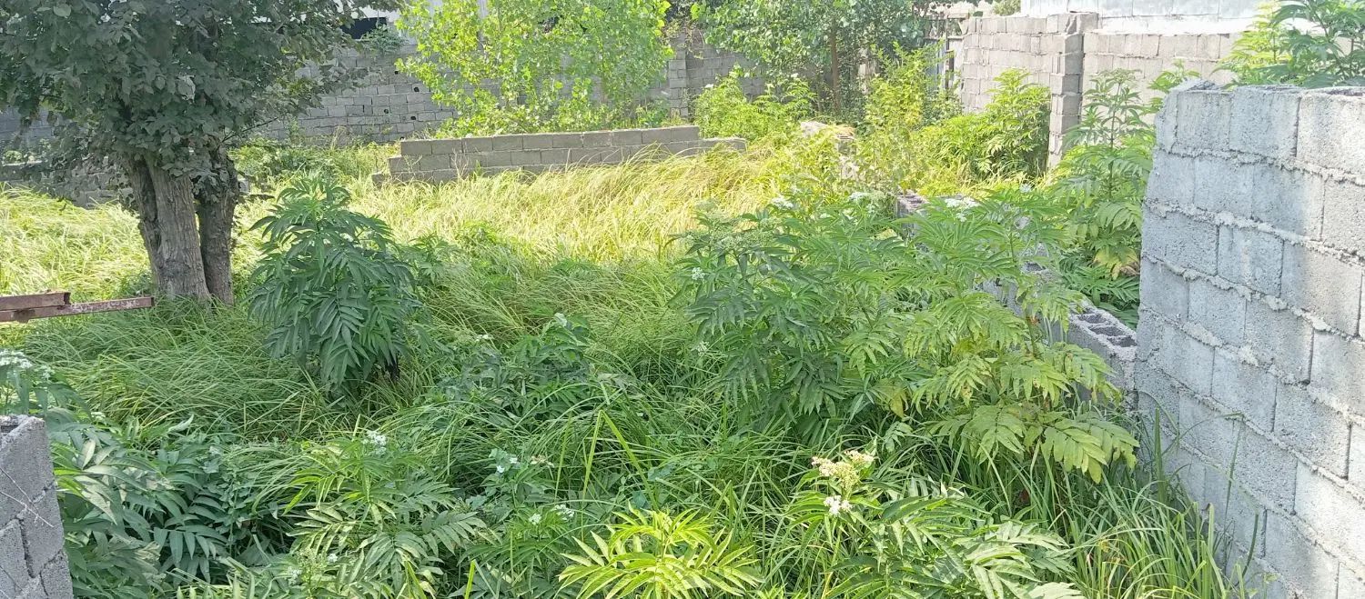 زمین تمام مسکونی ۵۴۰ متر سند تک برگ واقع در فخب|فروش زمین و ملک کلنگی|رشت, کوی حسینی|دیوار
