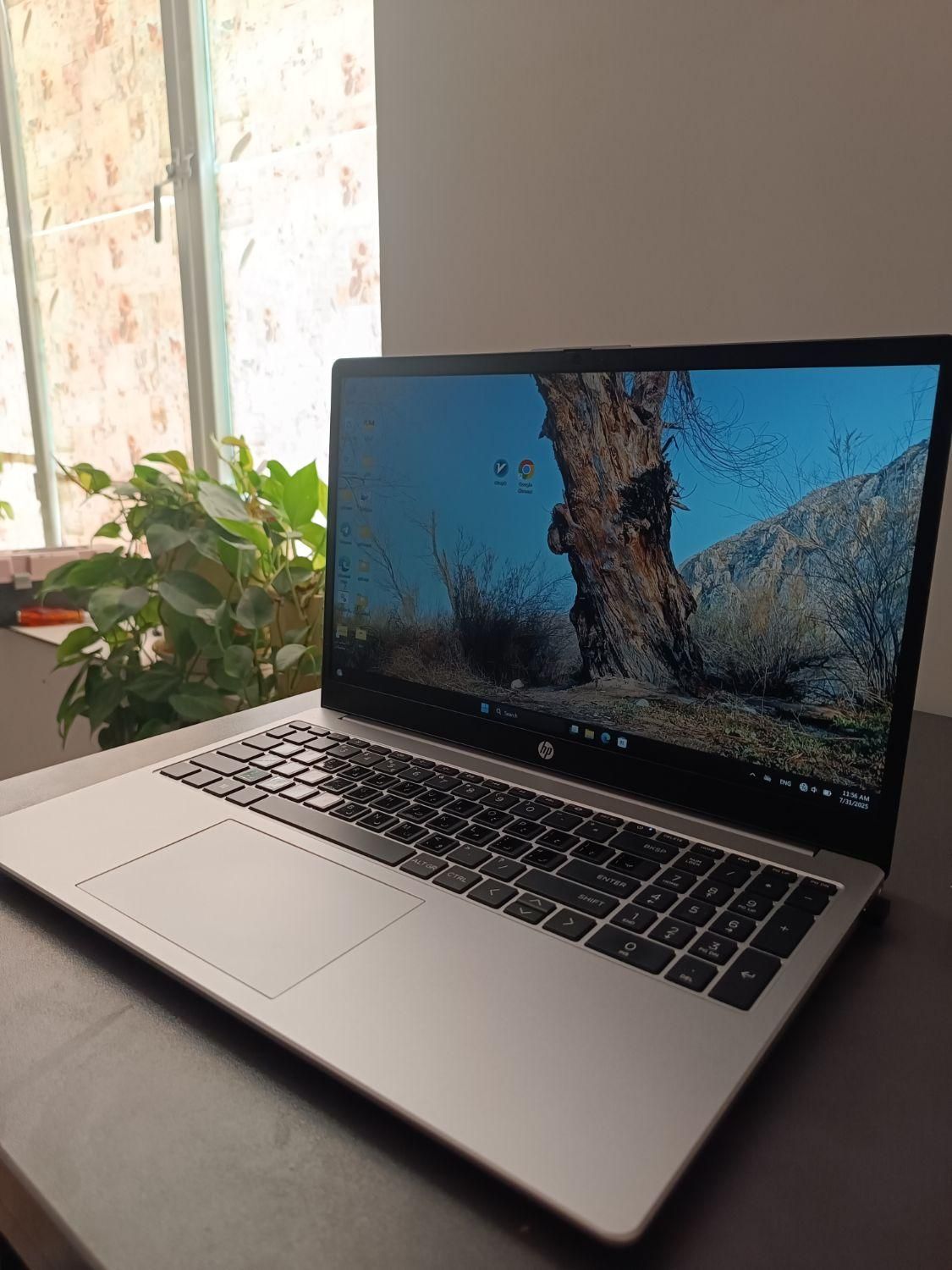 لب تاب HP255 G10|رایانه همراه|جم, |دیوار
