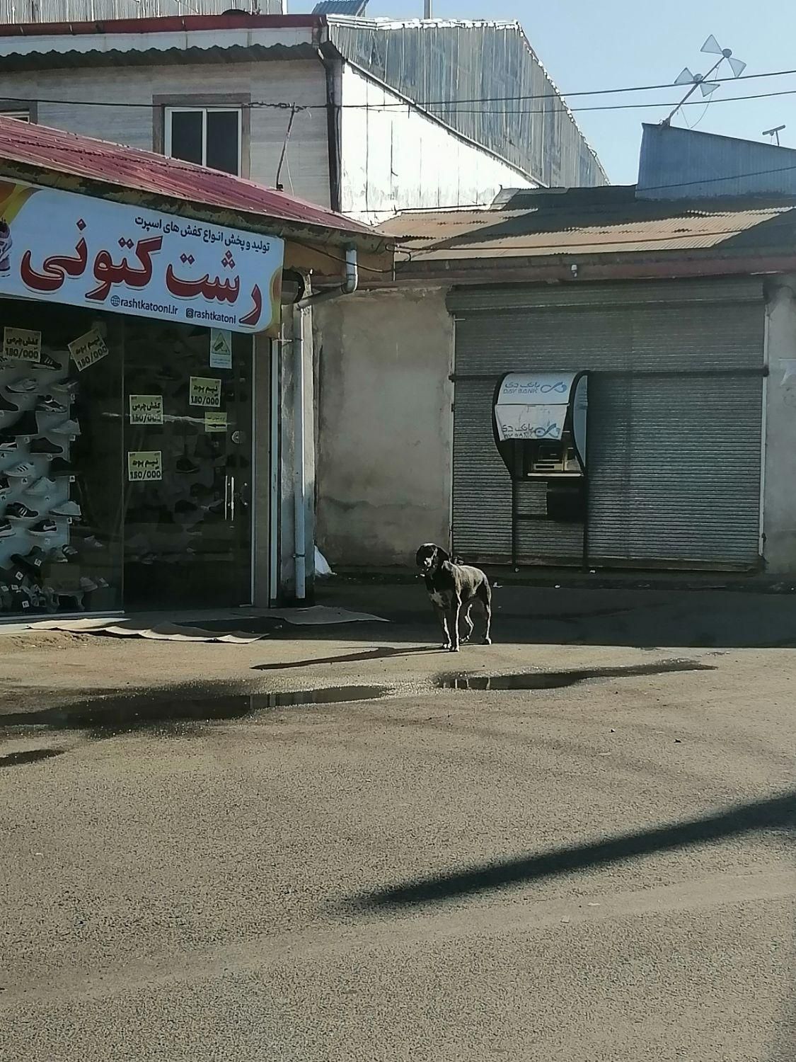فروش مغازه ۱۸ متری در شهدا|فروش مغازه و غرفه|رشت, تازه آباد|دیوار