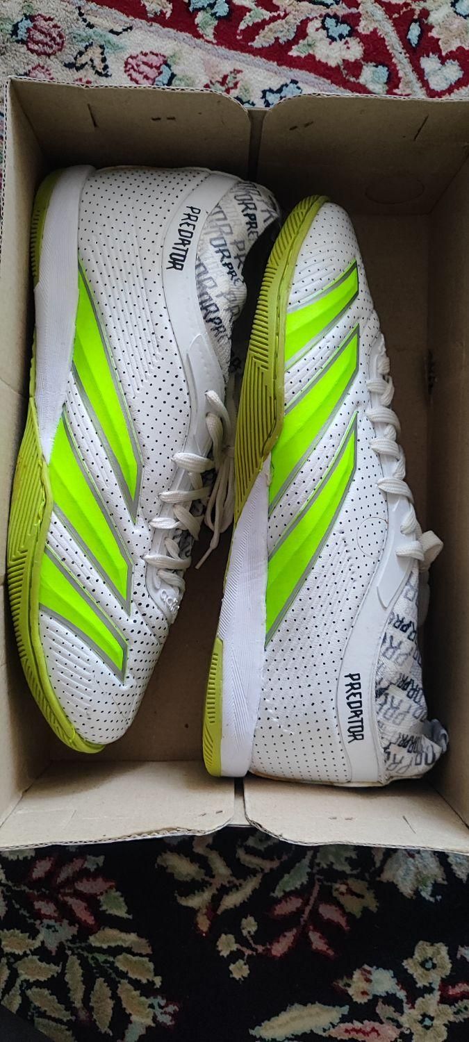 کفش فوتسال پردیتور سایز ۴۳|کیف، کفش، کمربند|خرم‌آباد, |دیوار