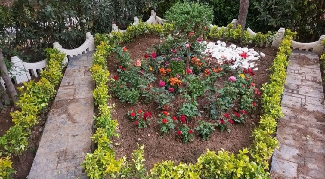 خدمات باغبانی گلکاری باغچه کاری تعویض خاک گلدون|خدمات باغبانی و درختکاری|کرج, گلشهر|دیوار