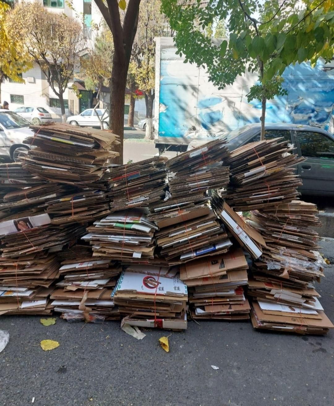 کارتون ضایعات قیمت بالا|عمدهفروشی|سنندج, |دیوار