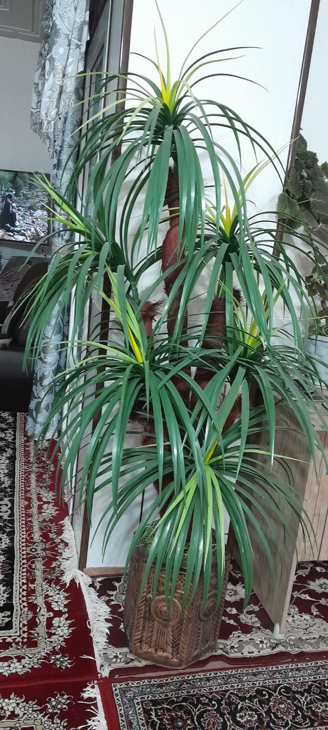 نخل مصنوعی|گل مصنوعی|قهدریجان, |دیوار