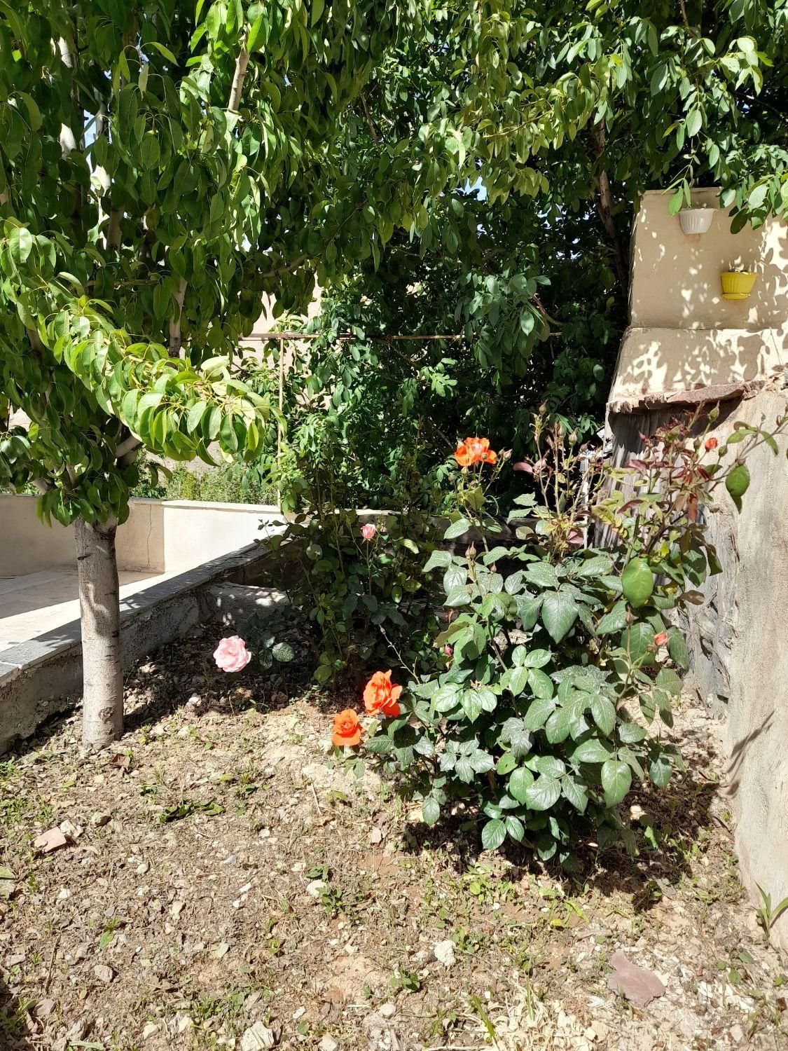 اجاره باغ رستوران|خدمات پذیرایی، مراسم|کرج, باغستان|دیوار