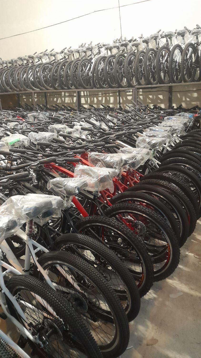 مستقیم از تولیدی دوچرخه|دوچرخه، اسکیت، اسکوتر|پاکدشت, خاتون آباد|دیوار