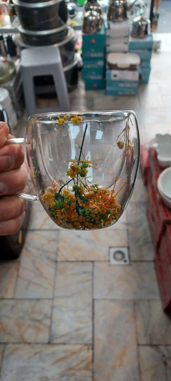 فنجان دو جداره شیشه ای|ظروف سرو و پذیرایی|کرج, مصباح|دیوار