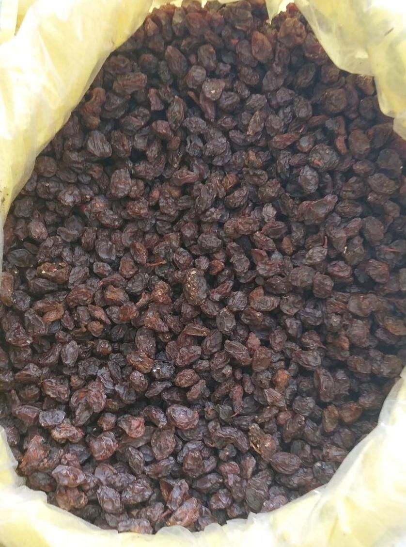 پخش مویز و کشمش اصلی دشمن زیاری|خوردنی و آشامیدنی|بوشهر, |دیوار