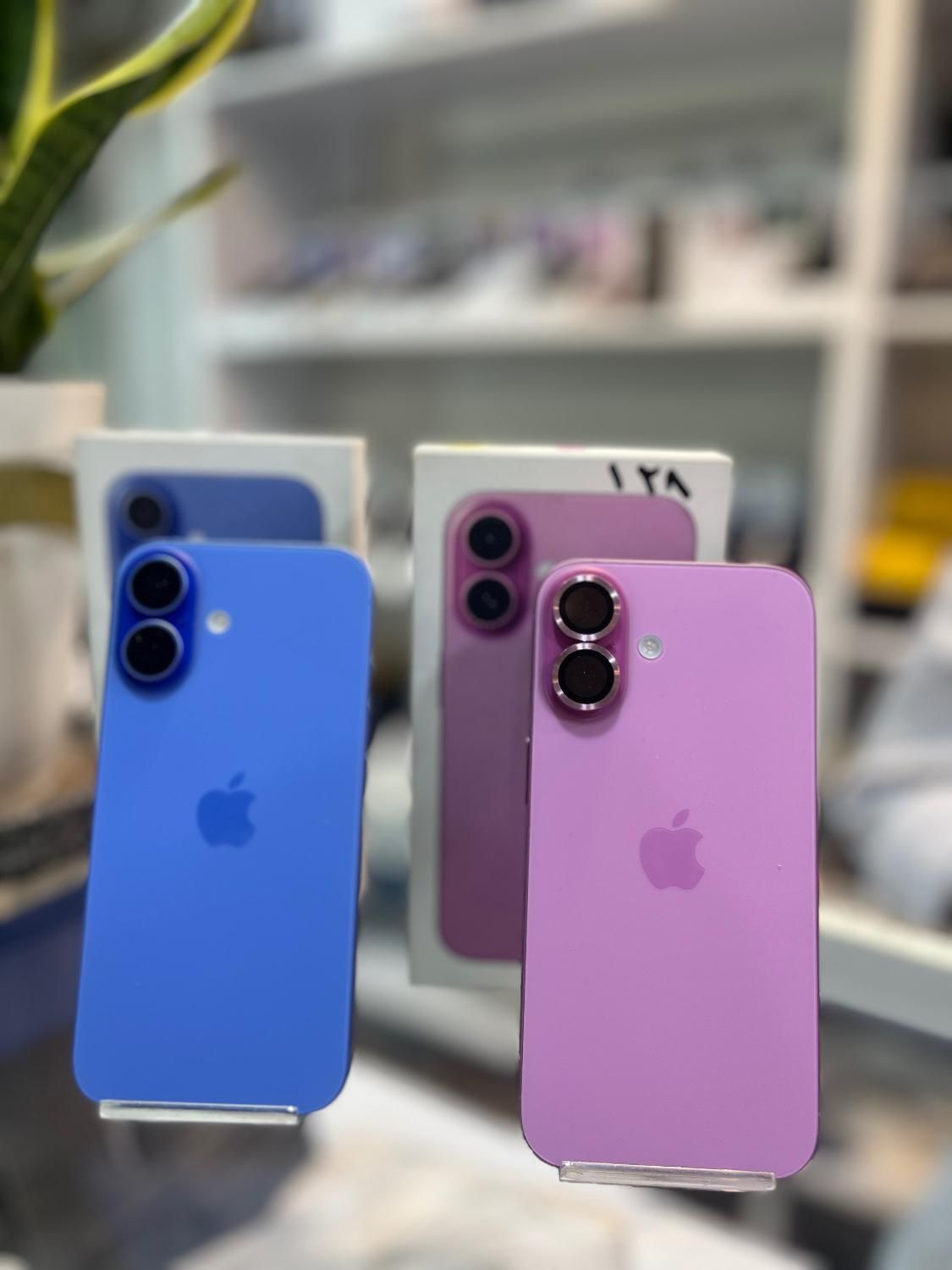 Iphone 16 128 GB CHA فقط ۷۰ بار شارژ شده|موبایل|کرج, کوی امامیه|دیوار