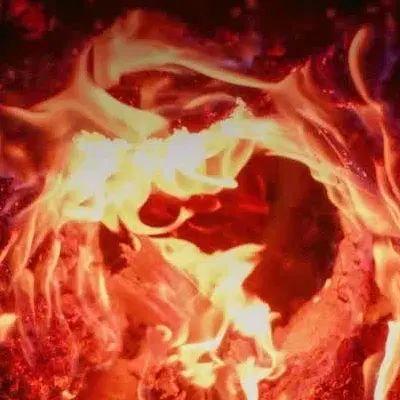 راهنمایی|فعالیت داوطلبانه|تهران, درختی|دیوار