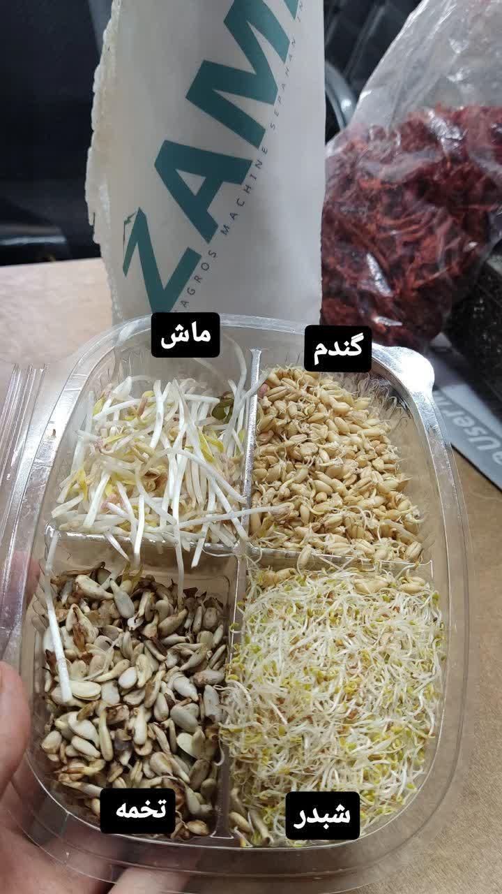 جوانه ساز|ماشین‌آلات صنعتی|کرج, گلستان|دیوار