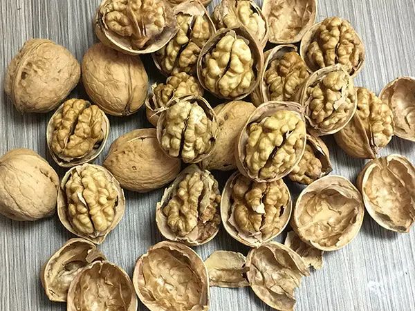 مغز گردو تازه دوپر و لوکس(پخش تخص۵)|خوردنی و آشامیدنی|مشهد, ثامن|دیوار
