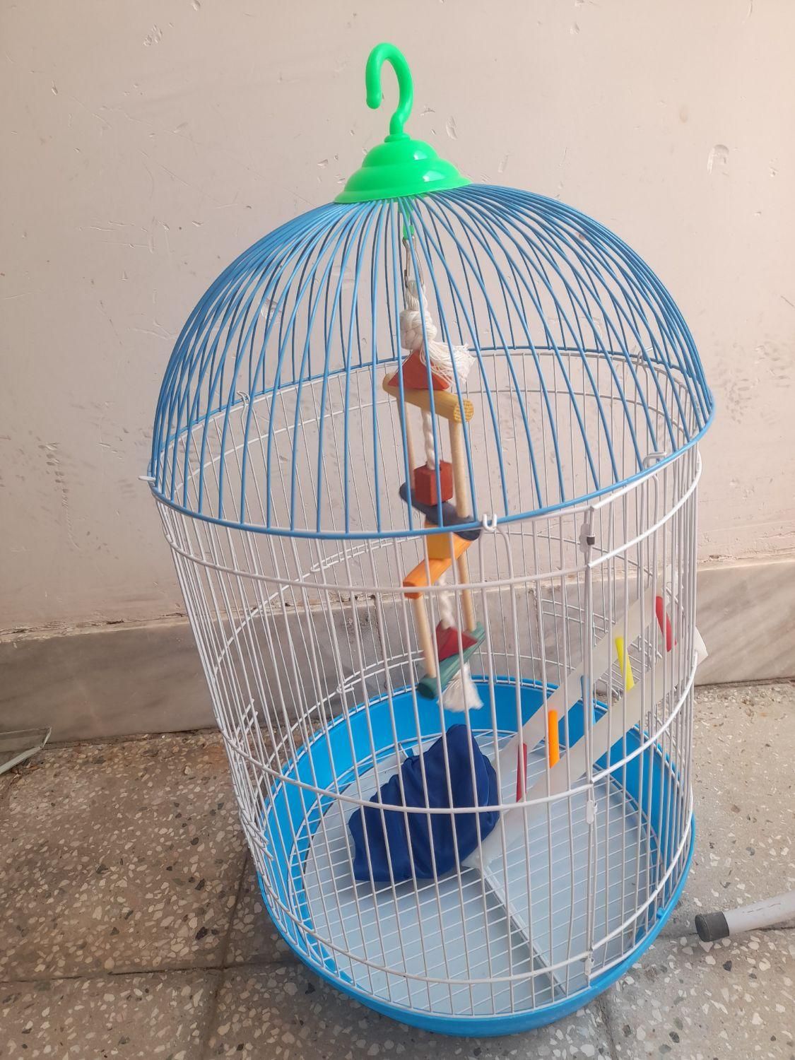 قفس آویز پرنده|لوازم جانبی حیوانات|قائن, |دیوار