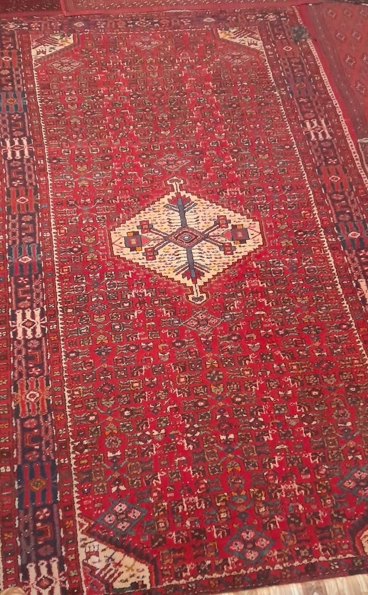 فرش 60ساله|فرش|کرج, باغستان|دیوار