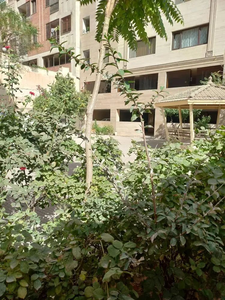 ۱۴۵ متر/۳ خواب/۲ پارکینگ/شهرک نفت|اجارهٔ آپارتمان|تهران, شهرک نفت|دیوار