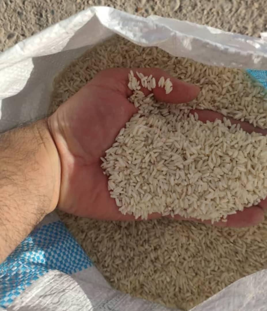 برنج عنبربو شوشتر|خوردنی و آشامیدنی|تهران, شهرک دانشگاه شریف|دیوار