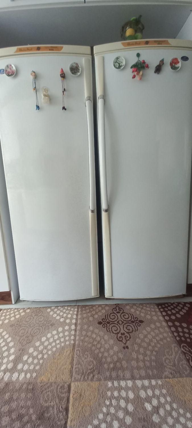 یخچال دوقلو الکترو استیل|یخچال و فریزر|کرمانشاه, |دیوار