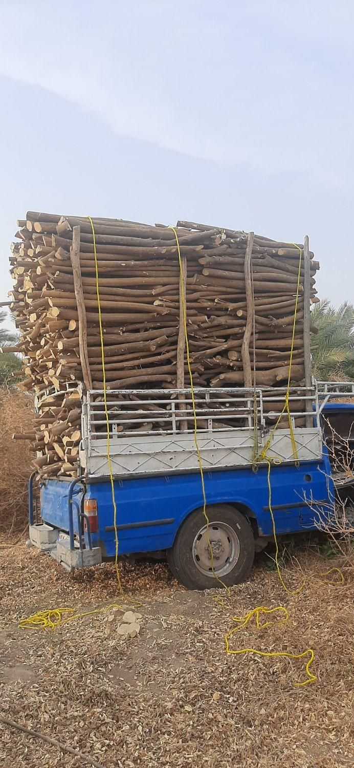 خریدارچوب وبریدن درخت|خدمات باغبانی و درختکاری|بندرعباس, |دیوار