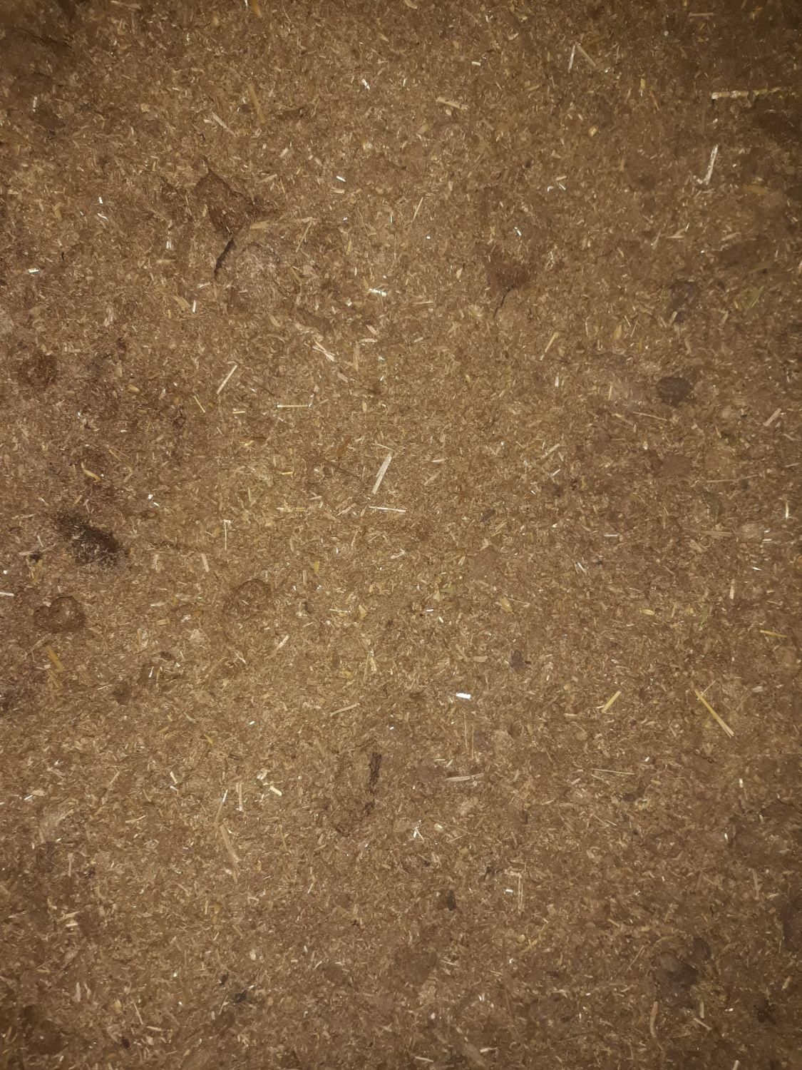 کود حیوانی گاوی|لوازم جانبی حیوانات|بیرجند, |دیوار