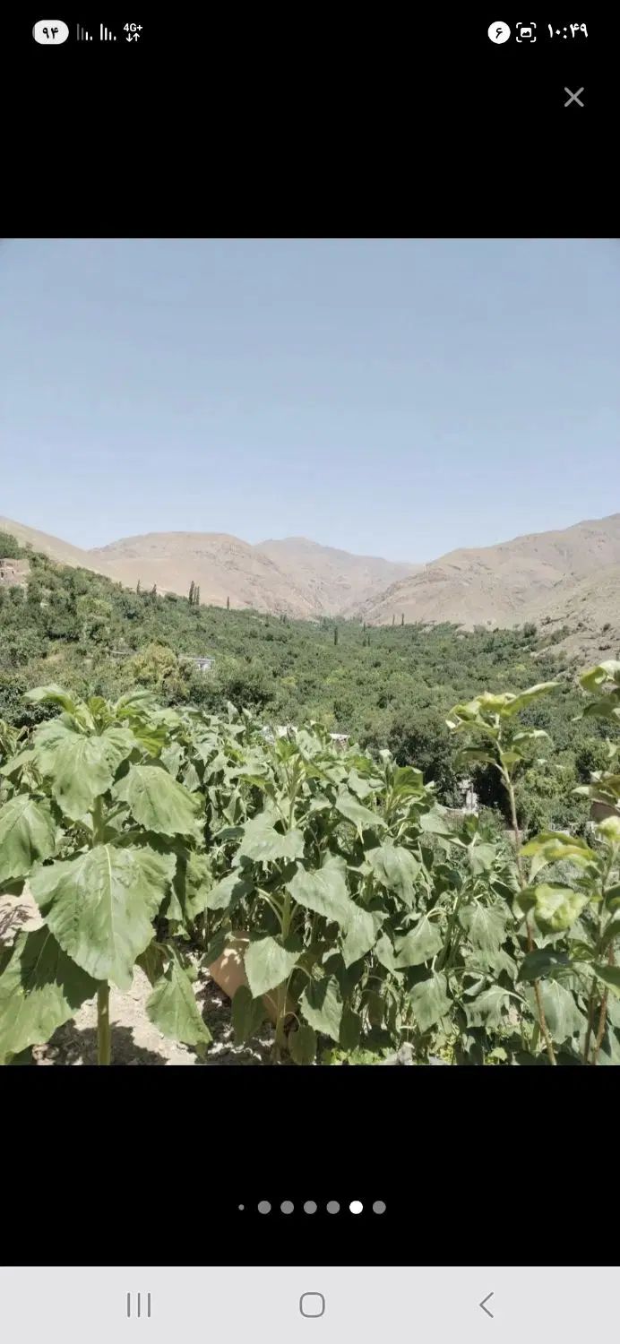 باغ در خرونیشابور|فروش زمین و ملک کلنگی|مشهد, طبرسی شمالی|دیوار