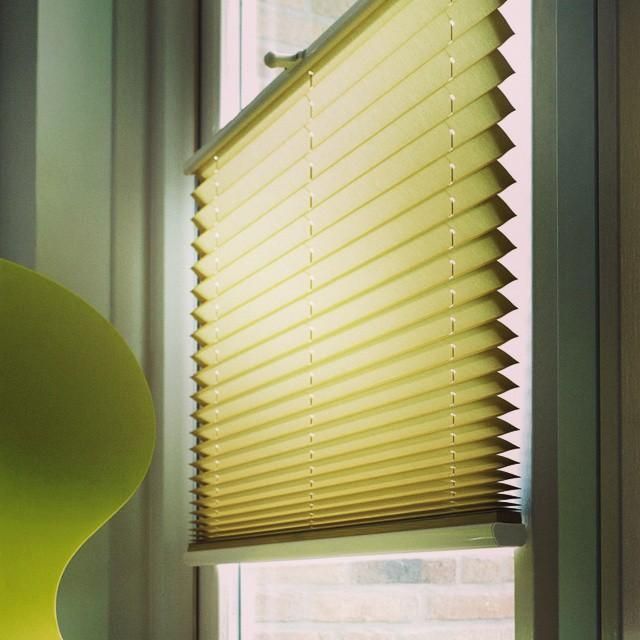 رفت و برگشت دوطرفه|عمدهفروشی|شیراز, باغ تخت|دیوار