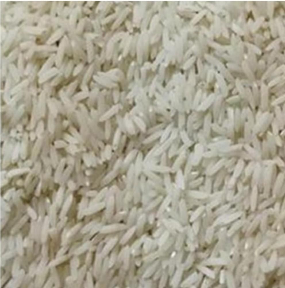 برنج دورود|خوردنی و آشامیدنی|تهران, فاطمی|دیوار