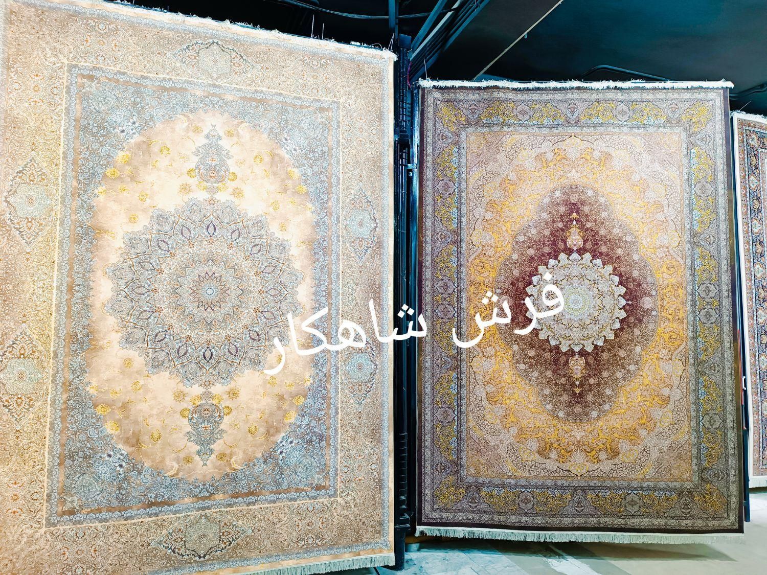 فرش مُحتشم ۱۵۰۰ شانه کد ۳۱۵۷۰ روناسی ۱۲ متری|فرش|شیراز, فرهنگیان|دیوار