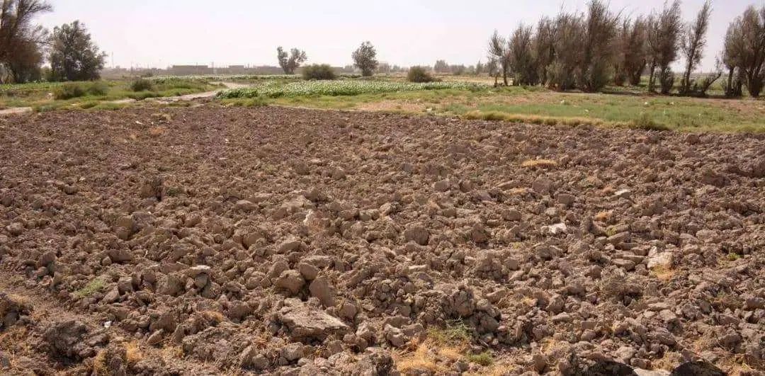 زمین دارای چهاردیواری مناسب خانه باغ وخانه وکشاور|فروش زمین و ملک کلنگی|کاشان, راوند|دیوار