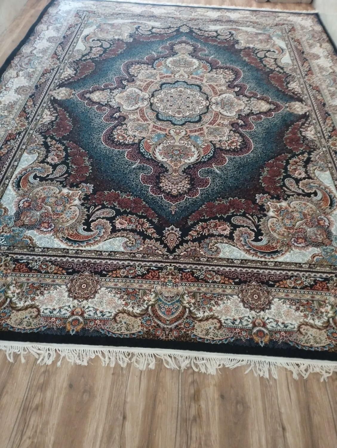 فرش دوازده متری|فرش|قزوین, |دیوار