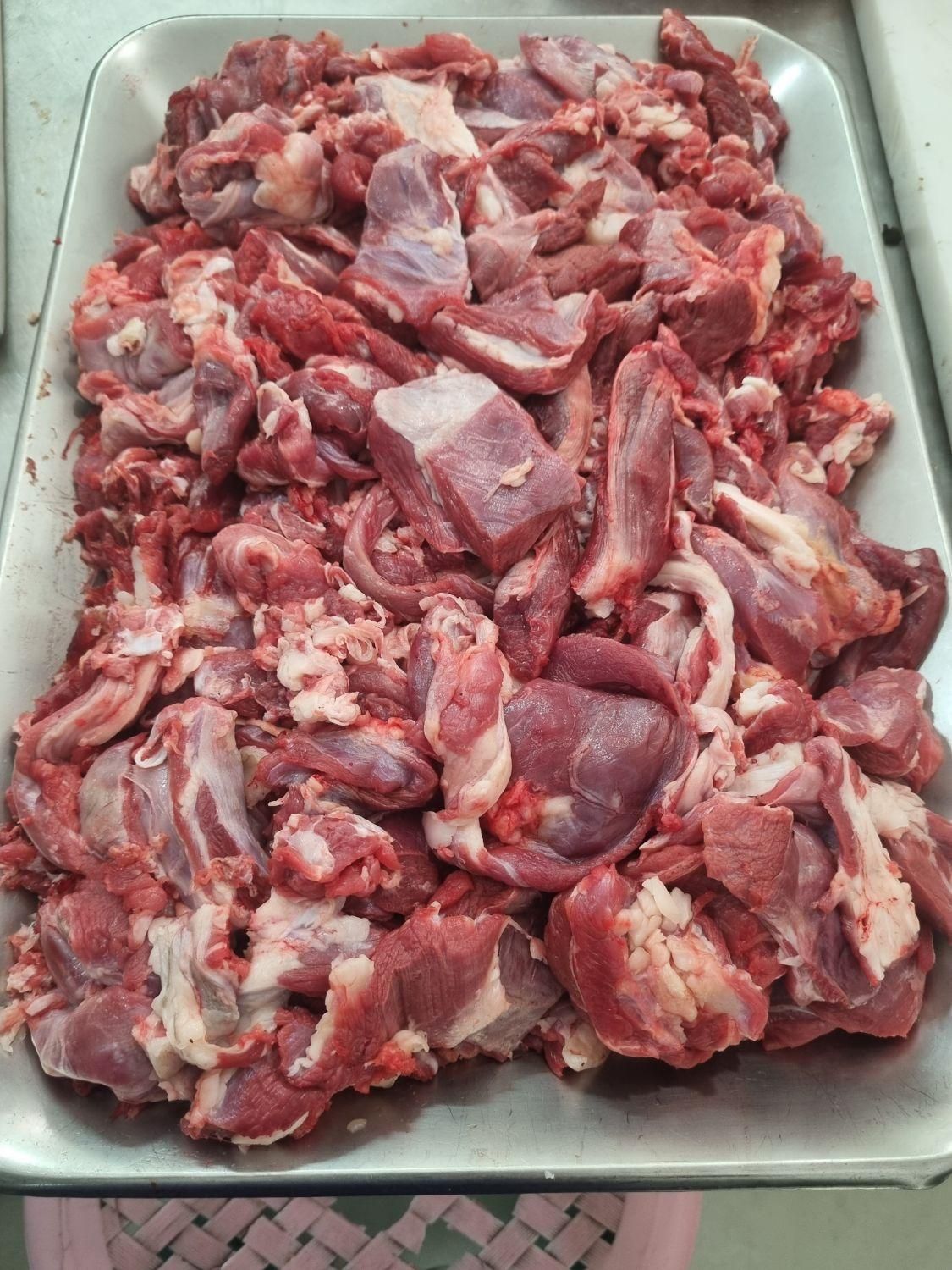 خورده گوشت شترمرغ کشتار روز کیلویی۶۰۰ت|خوردنی و آشامیدنی|سبزوار, امیر کبیر|دیوار