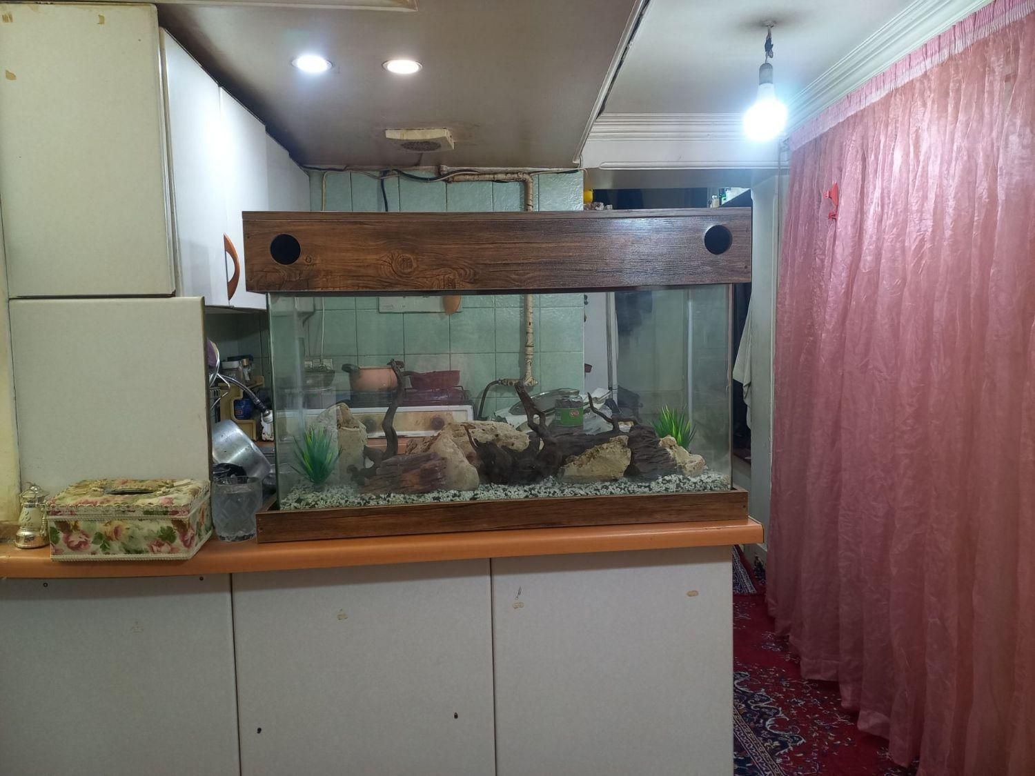 اکواریوم ماهی|ماهی|تهران, پاسداران|دیوار