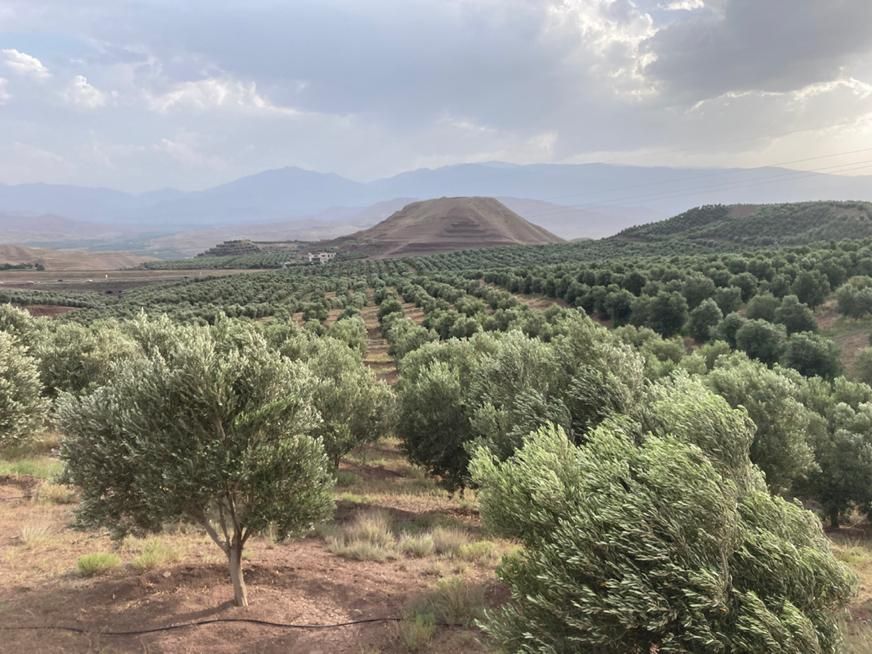 فروش ویلای ۱۰۰۰ متری با ۶۰ هکتار باغ زیتون|فروش زمین و ملک کلنگی|رودبار, |دیوار