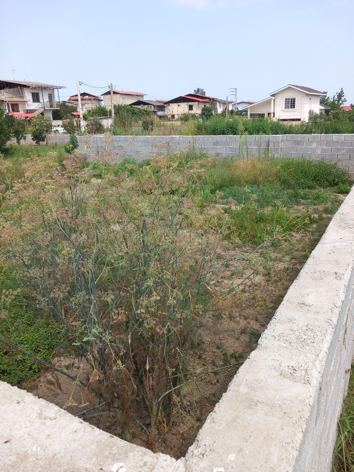 زمین ۲۰5متری سند تک برگ معاوضه با خودرو|فروش زمین و ملک کلنگی|تنکابن, |دیوار