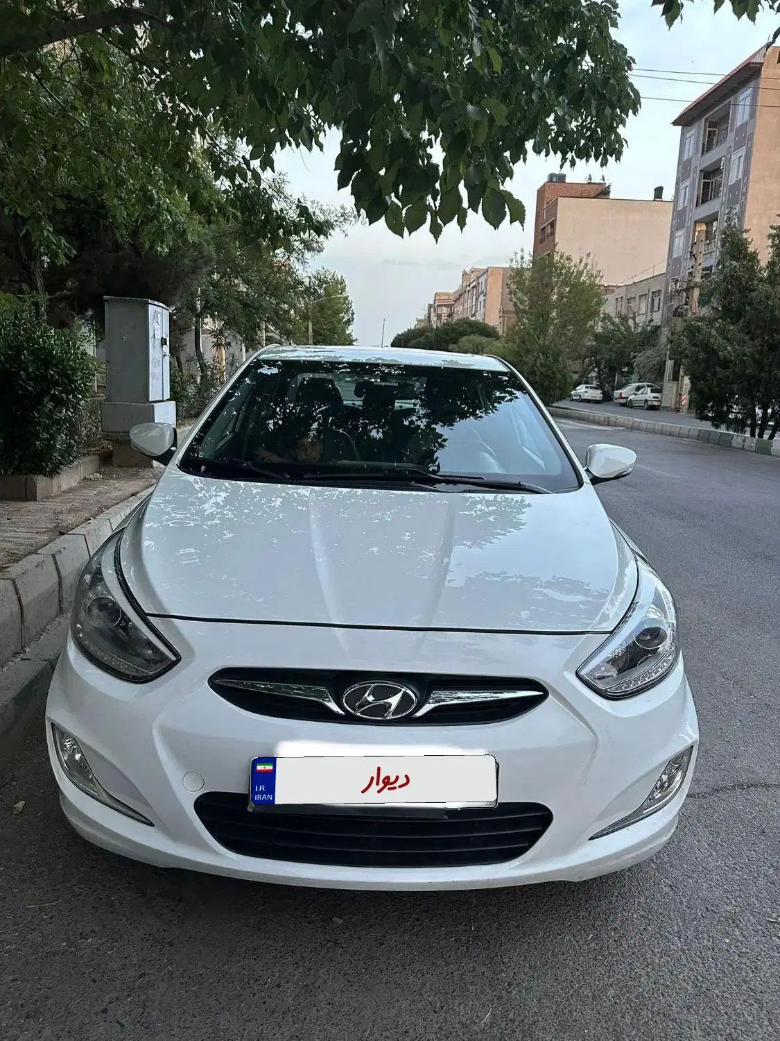 هیوندا اکسنت بلو|خودرو سواری و وانت|تهران, درختی|دیوار